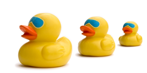 Get your ducks in a row